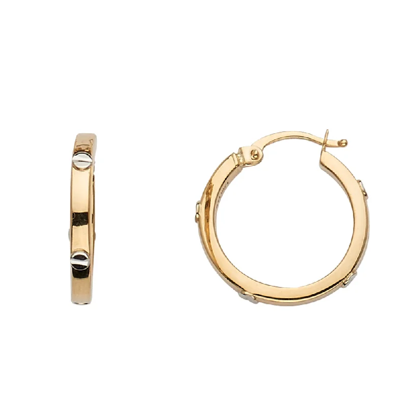 Earrings/Hoop