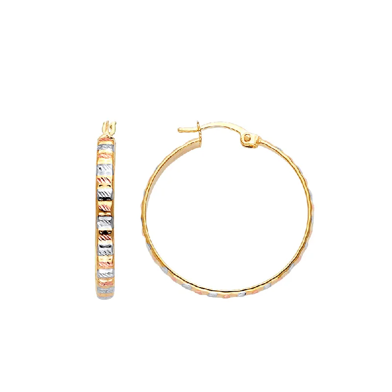 Earrings/Hoop